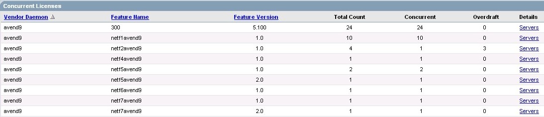 Figure 4-1 - Concurrent Licenses page